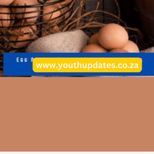 Egg Pickers Jobs Available 2024