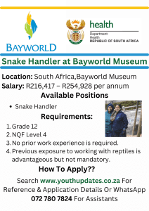 Job Opportunity: Snake Handler at Bayworld Museum
