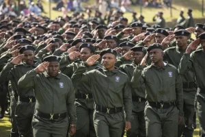 How to Apply for the Amapanyaza Trainee Program: A Step-by-Step Guide for 2025