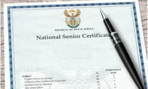 Matric Results 2025: How to Check Your Marks and What Comes Next