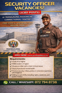 Security Officer Vacancies (X381 Posts)