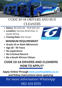 Bus Cleaner Vacancy – Permanent Position in Johannesburg, Gauteng | Apply Now 2026
