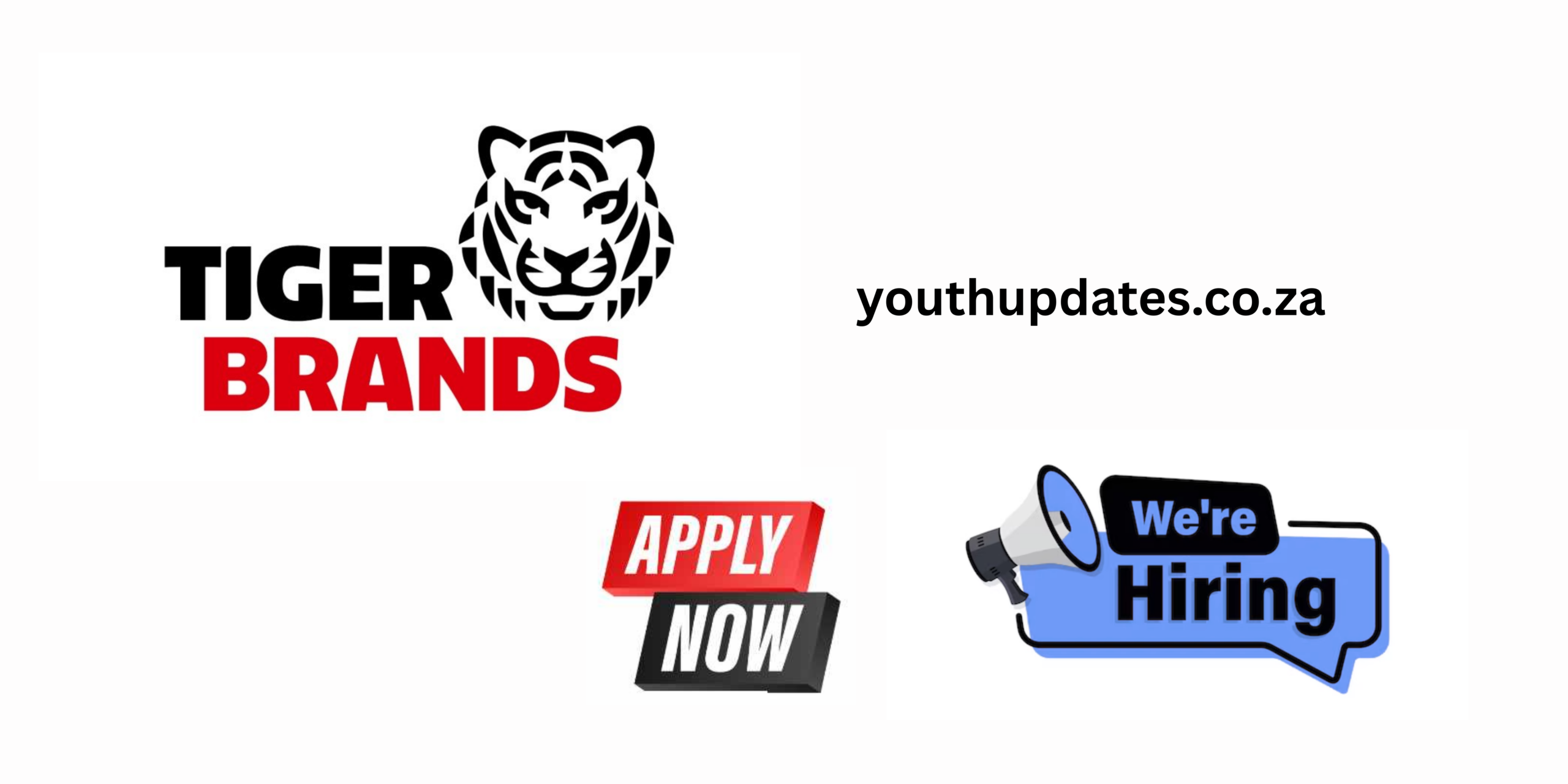 Driver & Salesman (Section 198) – Middelburg | Tiger Brands 2026