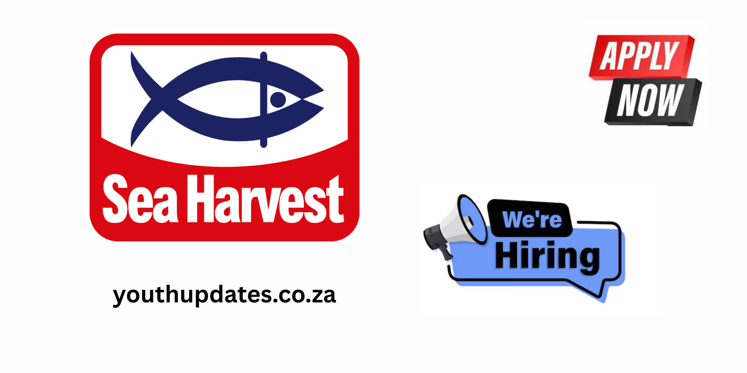Storeman Vacancies (X2 Posts) at Sea Harvest – Permanent Supply Chain Jobs in Cape Town, Western Cape 2026