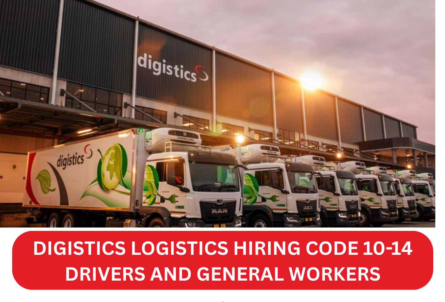 Digistics Careers 2026: Complete Guide to Logistics and Supply Chain Jobs in South Africa